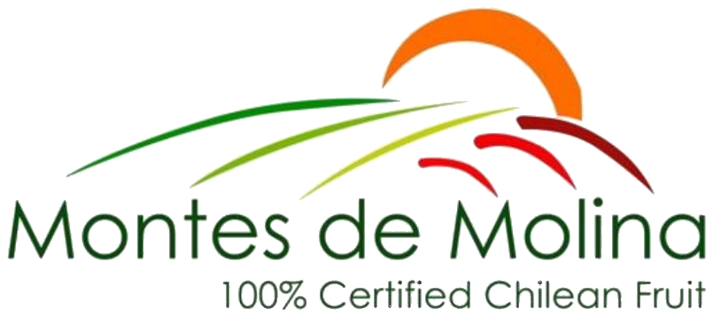 Montes de Molina
